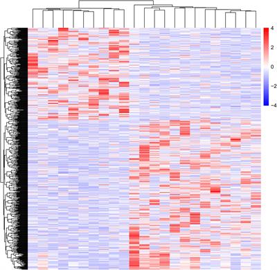 Identification of Differently Expressed mRNAs in Atherosclerosis Reveals CDK6 Is Regulated by circHIPK3/miR-637 Axis and Promotes Cell Growth in Human Vascular Smooth Muscle Cells